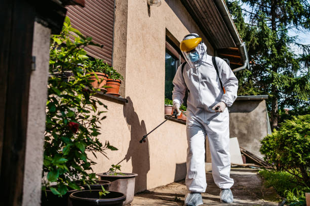 Best Insect Control  in Mitchell, IL