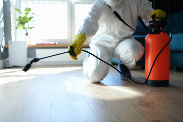 Best Bed Bug Extermination  in Mitchell, IL