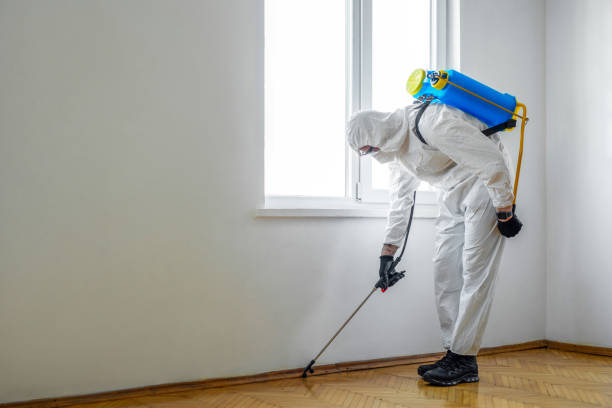 Best Commercial Pest Control Services  in Mitchell, IL