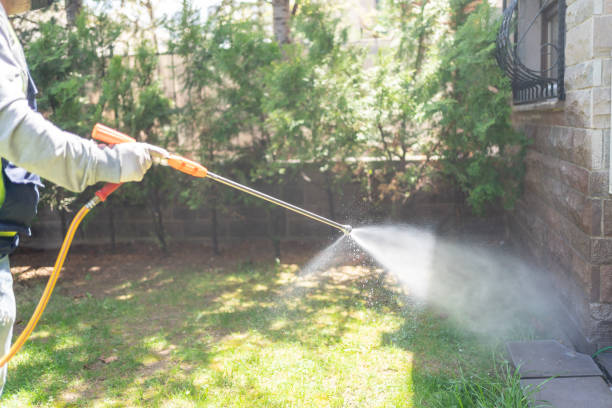 Best Pest Prevention Services  in Mitchell, IL