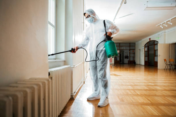 Best Insect Control  in Mitchell, IL